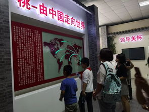 桃香引巧思，非遺潤童心——奉賢錢橋?qū)W校暑期親子體驗活動側(cè)記